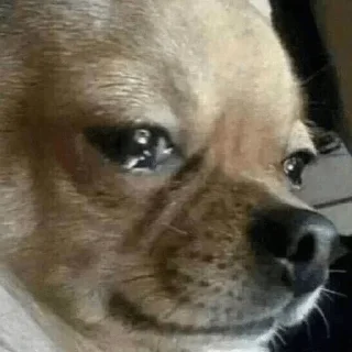 😢 emoji Chepopalo — @stckrRobot Telegram sticker 24 of 31