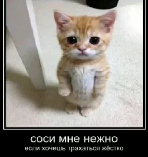 Sticker from ем