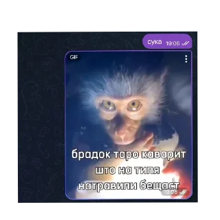 🐦 emoji Ол мемы by Nikitta Kulikov Telegram sticker 6 of 40