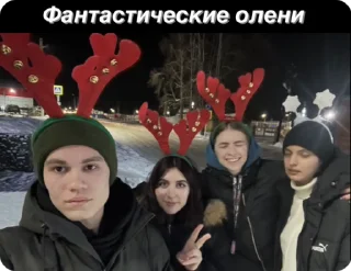 🦌 emoji Шведская семья Telegram sticker 9 of 15