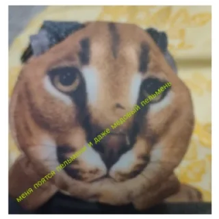 🐱 emoji Тема пвз Telegram sticker 13 of 19