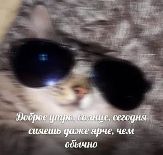 Sticker from тяжелый люкс