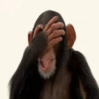 🤦‍♂ emoji Больше стиков тут: @stikery4 Telegram sticker 24 of 50