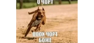 🌟 emoji ВОЙД БЛЯТЬ ВОЙД НЕТ УШЕЛ ОТСЮД Telegram sticker 10 of 120