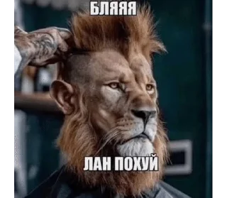 🌟 emoji ВОЙД БЛЯТЬ ВОЙД НЕТ УШЕЛ ОТСЮД Telegram sticker 15 of 120