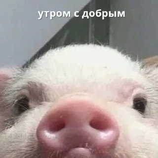 ☀️ emoji Пак говна Telegram sticker 24 of 95