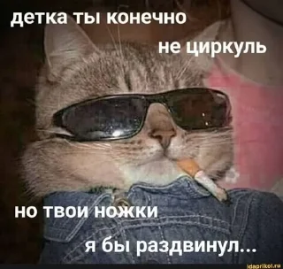 😎 emoji Пак говна Telegram sticker 12 of 95