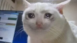 😭 emoji "Жизнь рататуя" Telegram sticker 21 of 51
