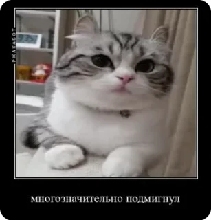 😉 emoji Больше стиков тут: @stikery4 Telegram sticker 5 of 12