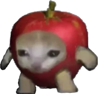 Sticker from Жизненные коты и мемы