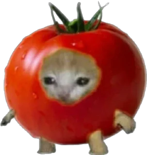 Sticker from Жизненные коты и мемы