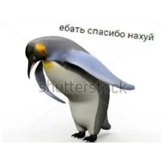 🐧 emoji 😐😳😐 Telegram sticker 23 of 43