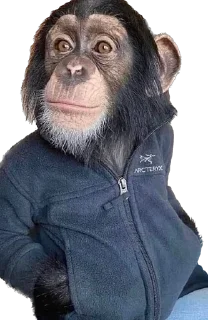 📯 emoji @stikerk877 Telegram sticker 22 of 78