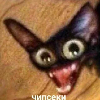 😺 emoji Рей Telegram sticker 18 of 120