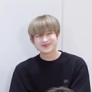 🕺 emoji sunghoon Telegram sticker 9 of 24