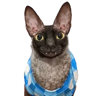 😶‍🌫️ emoji пиксель @pixel_gifs Telegram sticker 23 of 80