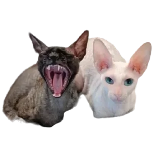 😍 emoji пиксель @pixel_gifs Telegram sticker 20 of 80
