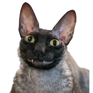 😏 emoji пиксель @pixel_gifs Telegram sticker 16 of 80