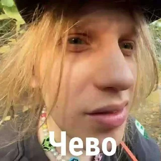 😱 emoji Хазяева  в здание Telegram sticker 17 of 27