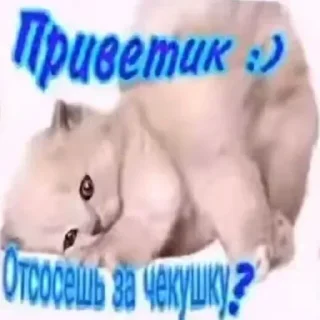 🌟 emoji Больше стикеров 👉🏻 @stickertg4 Telegram sticker 5 of 120