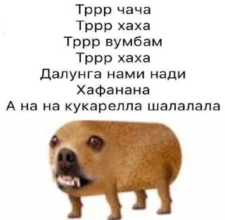 😊 emoji АХТУНГ!! Telegram sticker 13 of 38