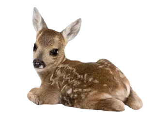 🌟 emoji coquettecore Telegram sticker 21 of 33