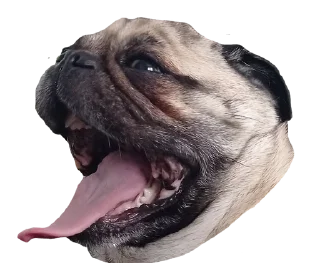 Sticker from ОпапопА