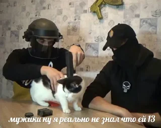 🤯 emoji Хорс - @Tg_stickersu Telegram sticker 17 of 51