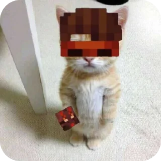 🐱 emoji JDH Telegram sticker 14 of 20