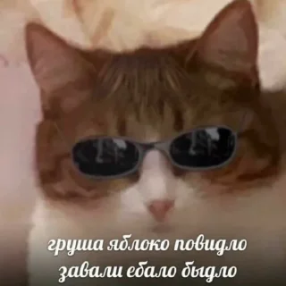 Sticker from Смешнявки