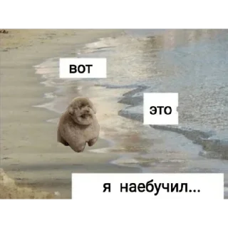 Sticker from ЕБУЧИЙ