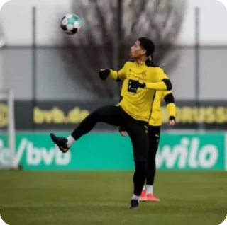 ⚽️ emoji Jude Bellingham Telegram sticker 13 of 18