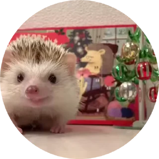 🌟 emoji Больше стиков тут: @stikery4 Telegram sticker 22 of 50