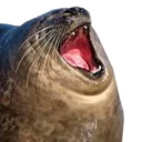 😅 emoji Пак для калажей Telegram sticker 20 of 120