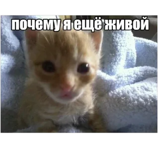 Sticker from бебебе
