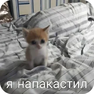 Sticker from бебебе
