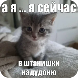 Sticker from бебебе