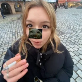 😄 emoji poxyu vsem Telegram sticker 6 of 7
