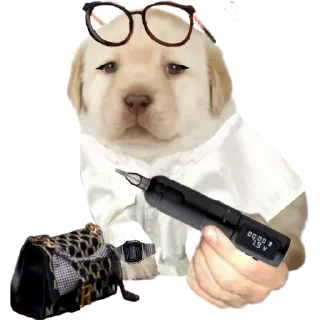🌟 emoji ¿Quieres Russia? Telegram sticker 9 of 10