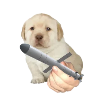 🌟 emoji ¿Quieres Russia? Telegram sticker 6 of 10
