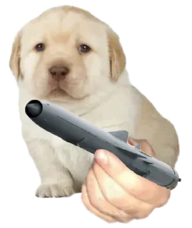 🌟 emoji ¿Quieres Russia? Telegram sticker 5 of 10