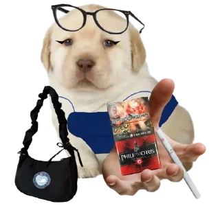 🌟 emoji ¿Quieres Russia? Telegram sticker 7 of 10