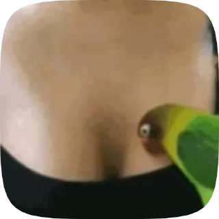 🍒 emoji видеопопуги Telegram sticker 22 of 50