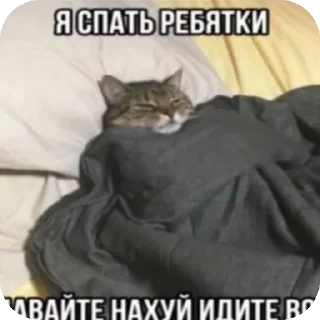 🐱 emoji Под золупой творог Telegram sticker 8 of 17