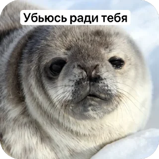Sticker from Просто стики с дронами И с дру