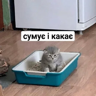 🥲 emoji My fav stickers Telegram sticker 24 of 120