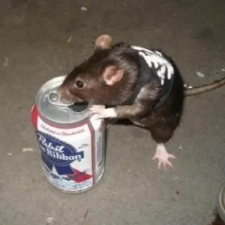 🍺 emoji rat$$$ Telegram sticker 9 of 32
