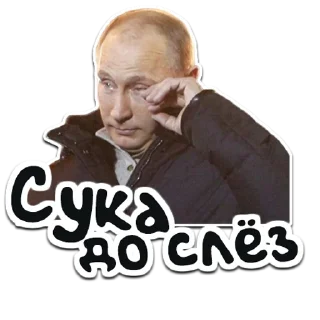 🇷🇺 emoji (@StickerHyicker) Путин Telegram sticker 19 of 24