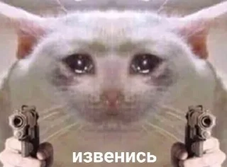 Sticker from пиздато by @dashkerrpon