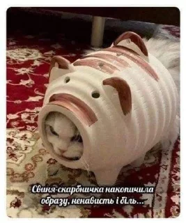 🪙 emoji Магістерка крінжі 3.0 Telegram sticker 16 of 93